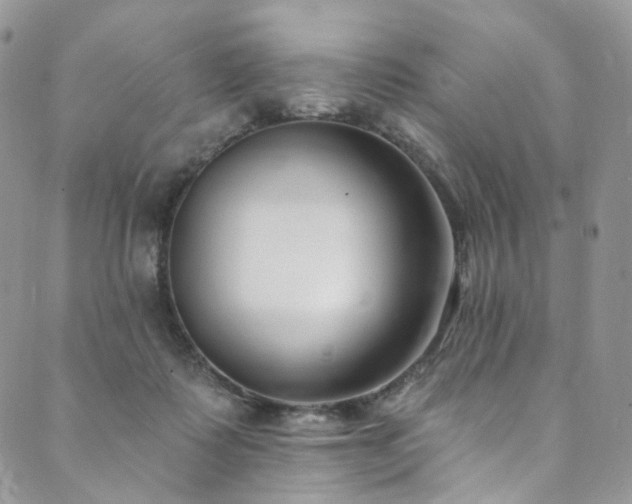 X0000089900315200706281454