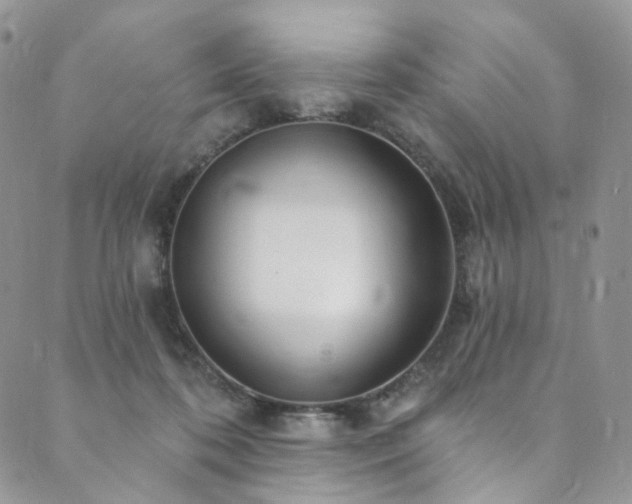 X0000089900316200706281454