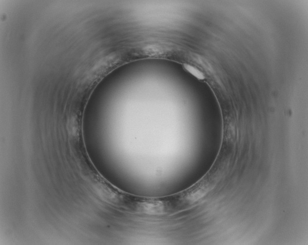 X0000089900317200706281454