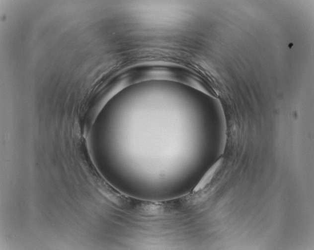 X0000089900325200706281453