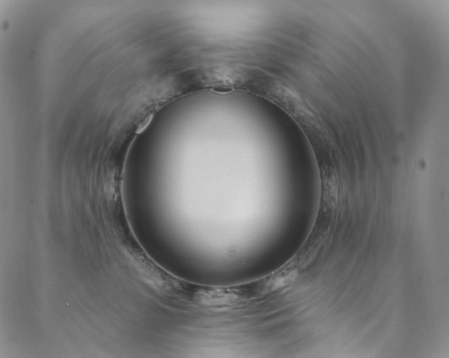 X0000089900331200706281453