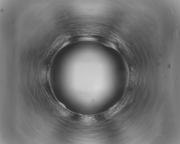X0000089900333200706281453