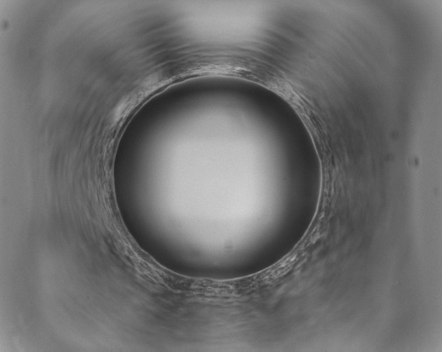 X0000089900337200706281453