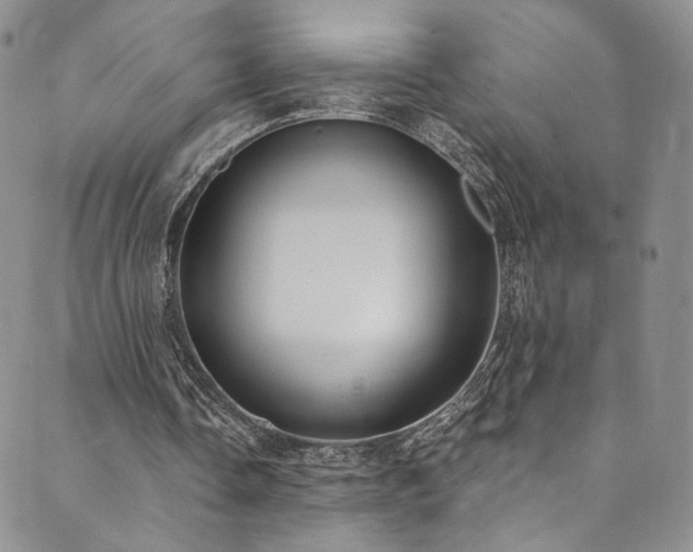 X0000089900338200706281453