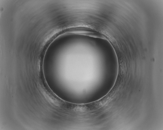 X0000089900350200706281453