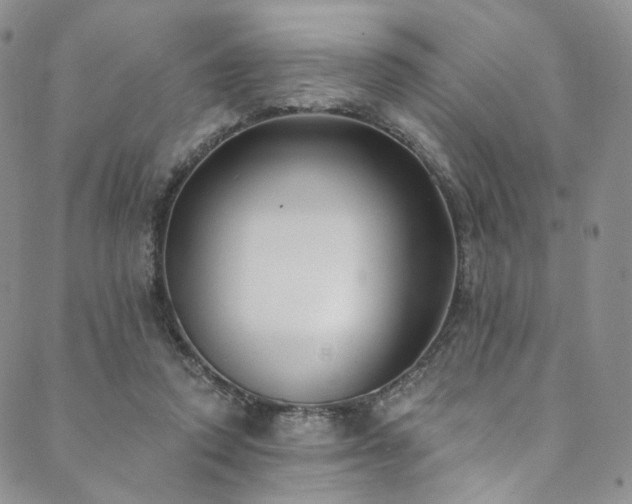 X0000089900354200706281453