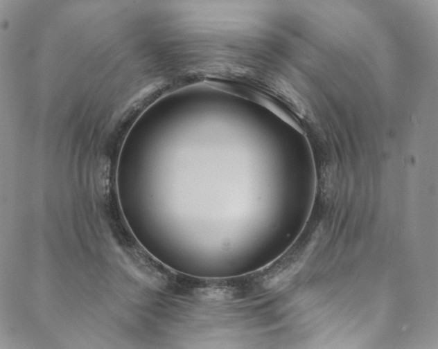 X0000089900356200706281453
