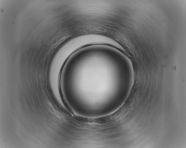 X0000089900360200706281453