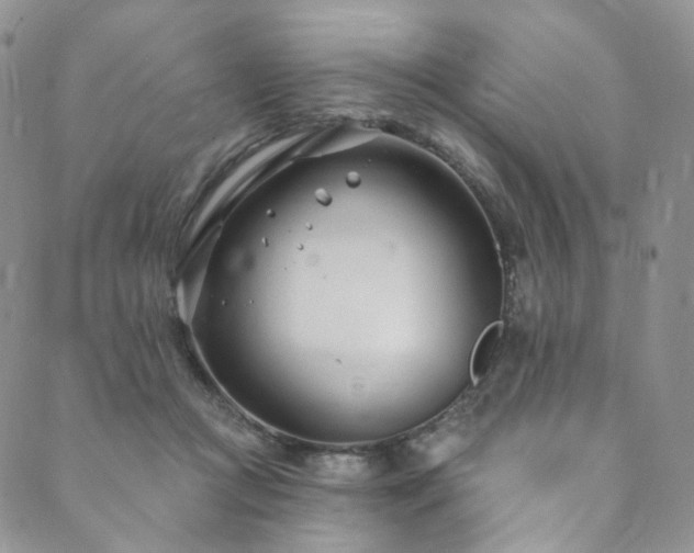 X0000089900361200706281453