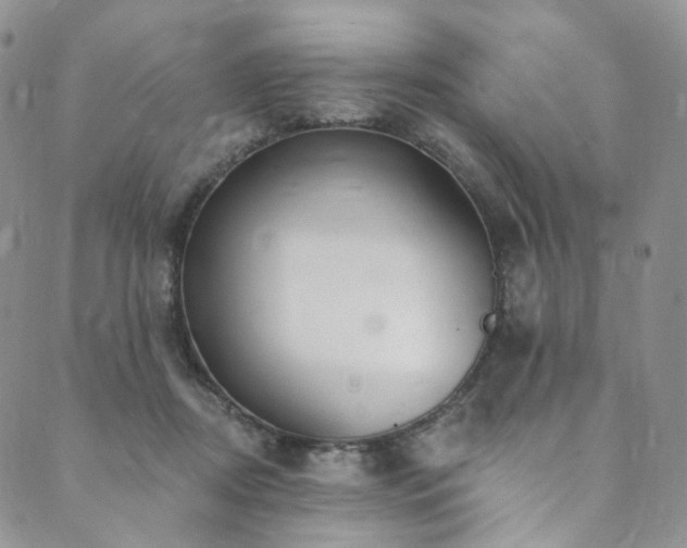 X0000089900362200706281453
