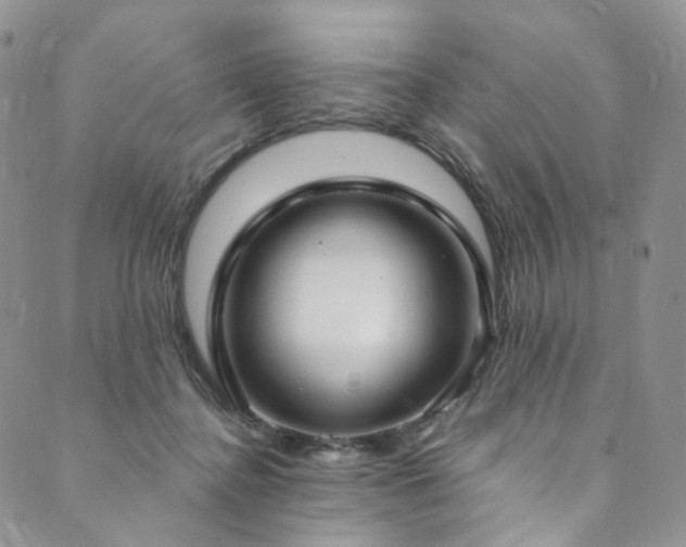 X0000089900364200706281453