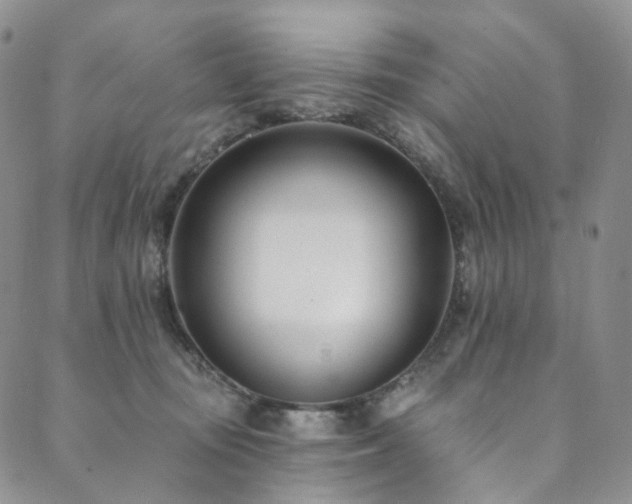 X0000089900371200706281453