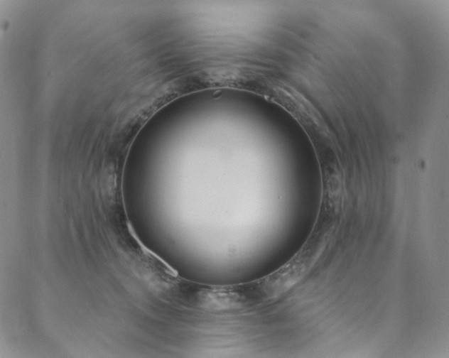 X0000089900372200706281453