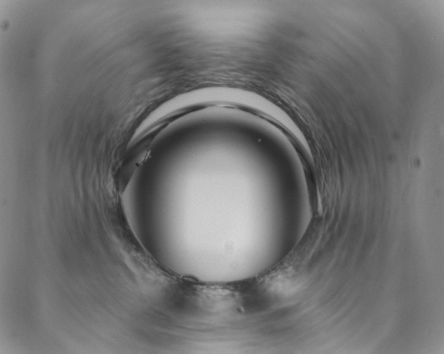 X0000089900380200706281453