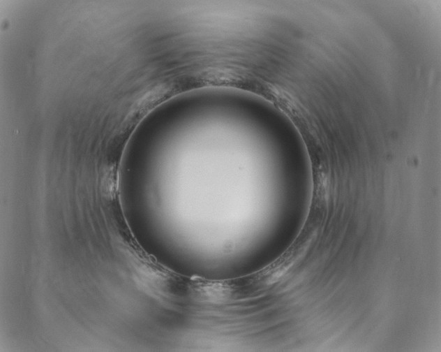 X0000089900383200706281453