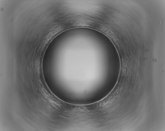 X0000089900386200706281453