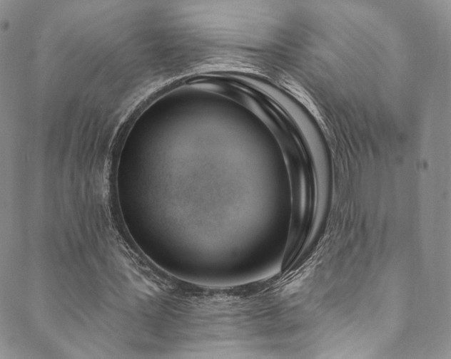 X0000089900387200706281452