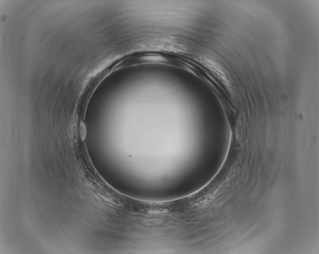 X0000089900388200706281452