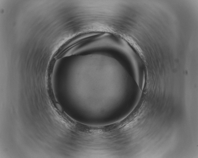 X0000089900391200706281452