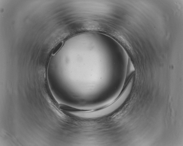 X0000089900397200706281452