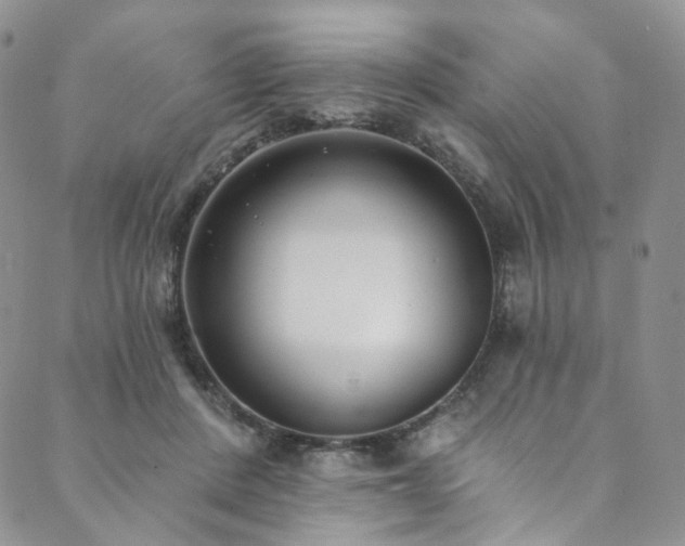 X0000089900408200706281452
