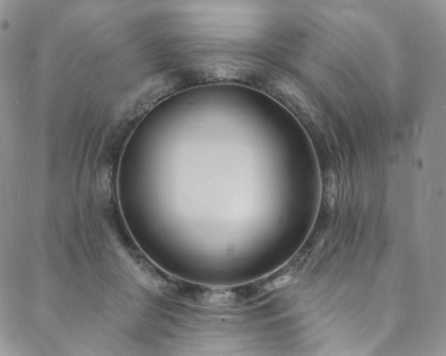 X0000089900410200706281452