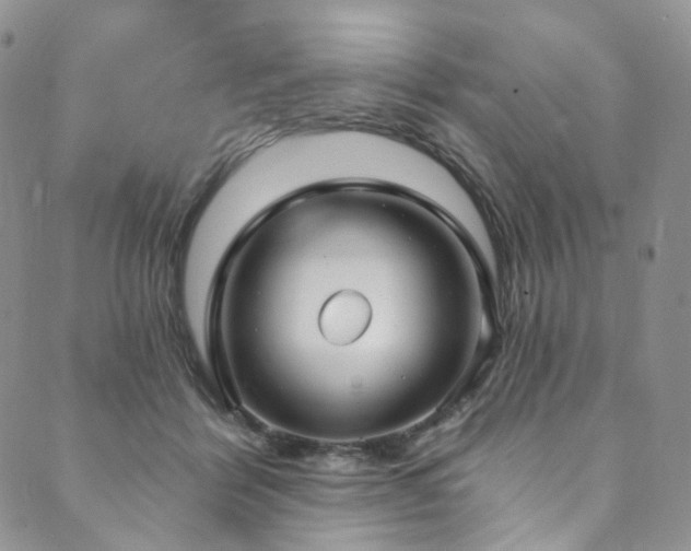 X0000089900412200706281452