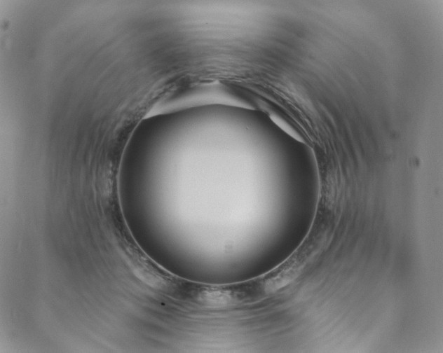 X0000089900413200706281452
