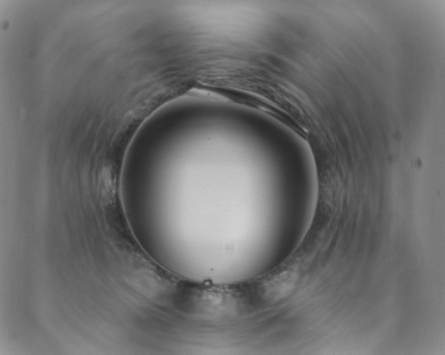 X0000089900420200706281452