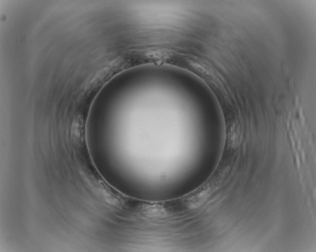 X0000089900424200706281452