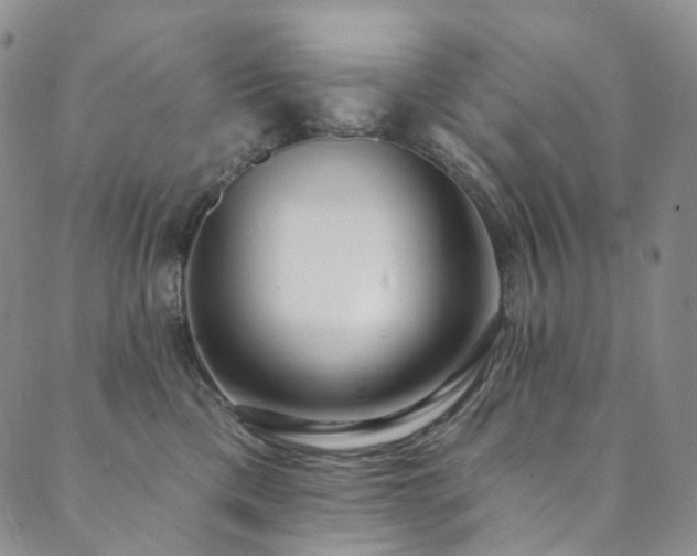 X0000089900425200706281452