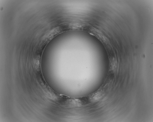 X0000089900427200706281452