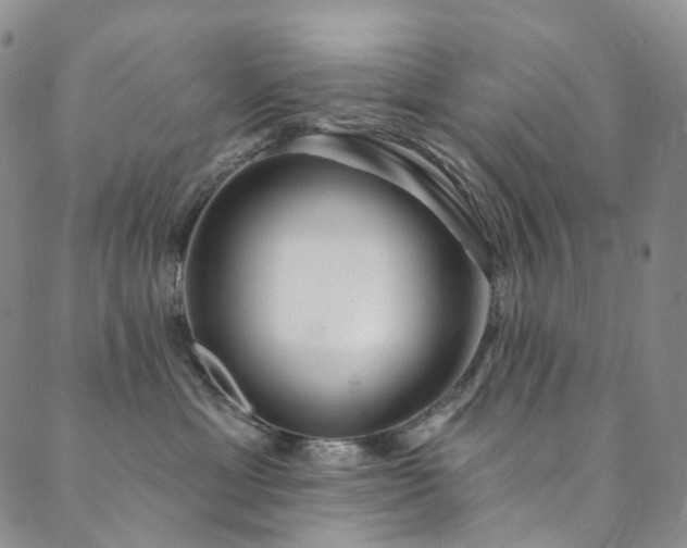 X0000089900429200706281452