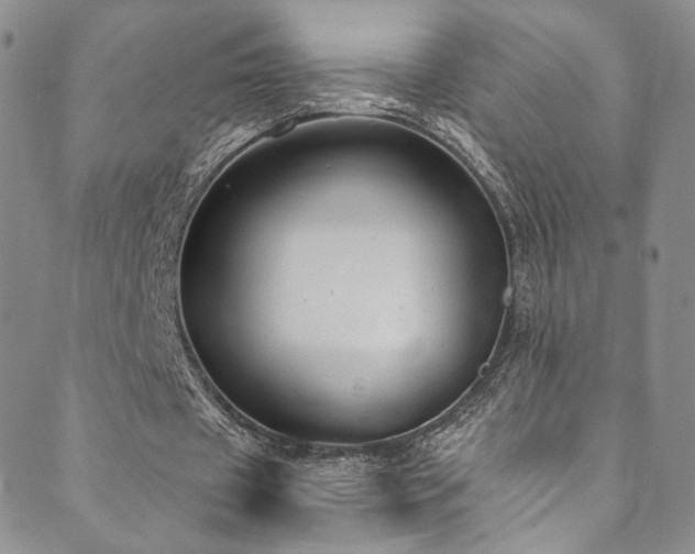 X0000089900433200706281451