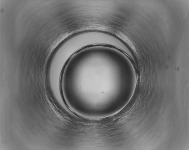X0000089900436200706281451