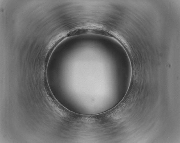 X0000089900437200706281451