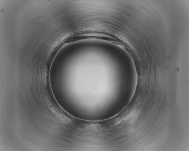 X0000089900446200706281451