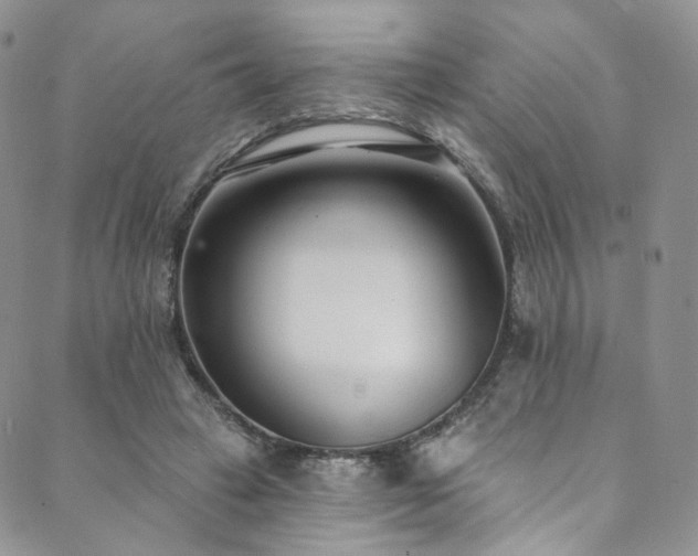 X0000089900449200706281451