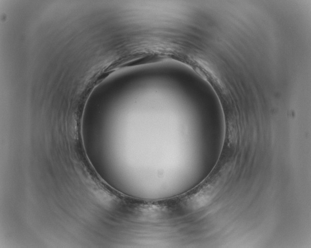 X0000089900453200706281451