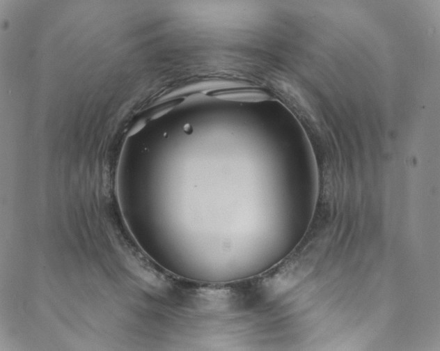 X0000089900457200706281451