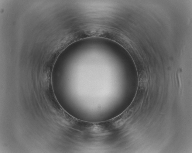 X0000089900460200706281451