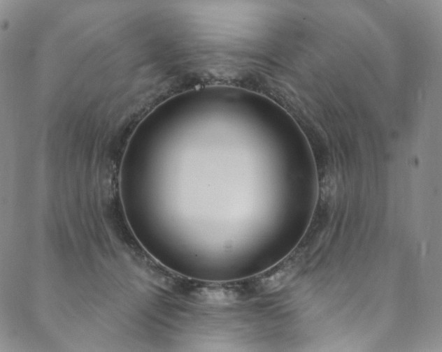 X0000089900464200706281451