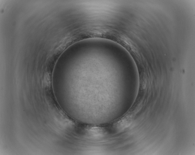 X0000089900467200706281452