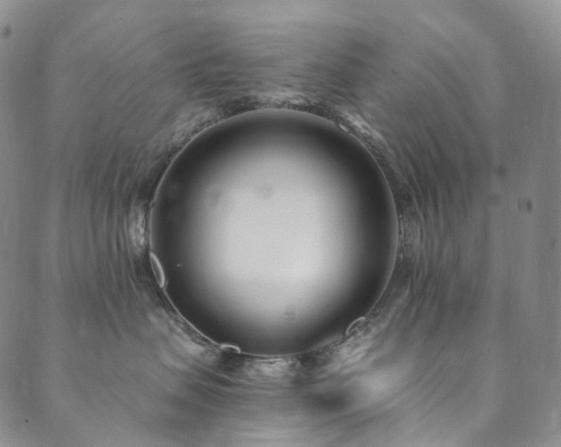 X0000089900479200706281452