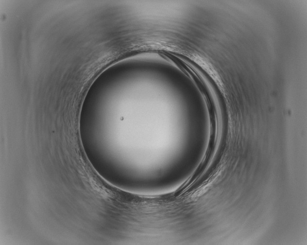 X0000089900481200706281451