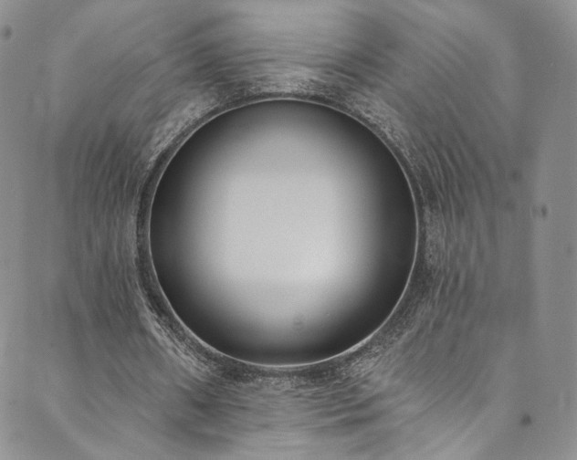 X0000089900482200706281451