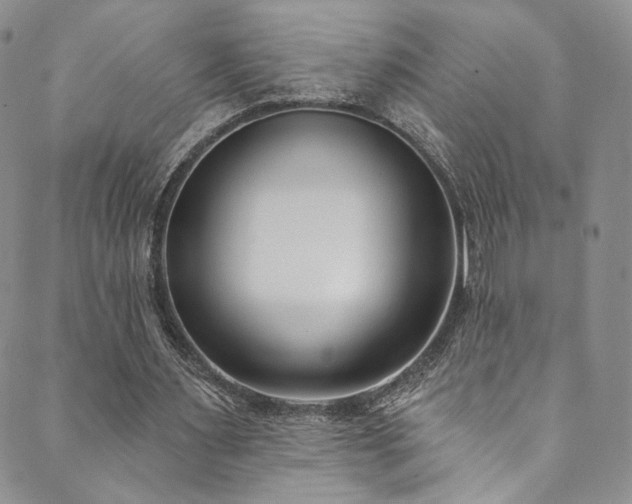 X0000089900483200706281451