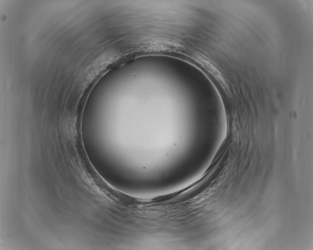 X0000089900485200706281451