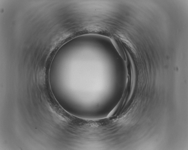 X0000089900492200706281451