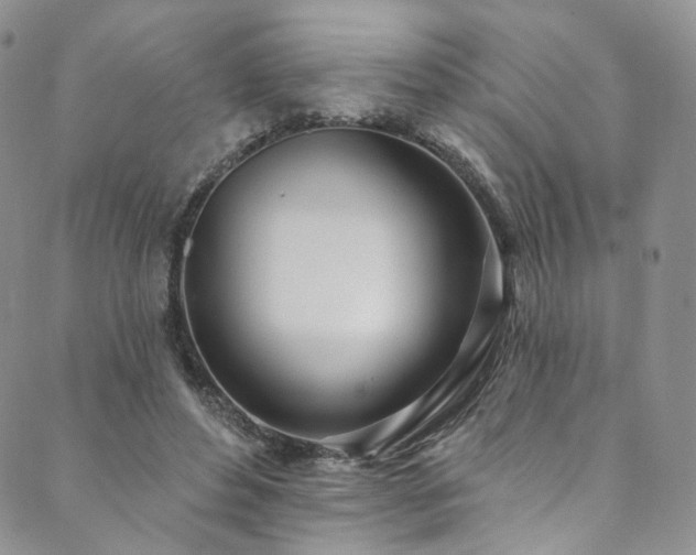 X0000089900496200706281451
